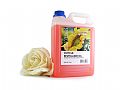 Y1PK39Bjustnail太陽花指緣滋養油2000ml
